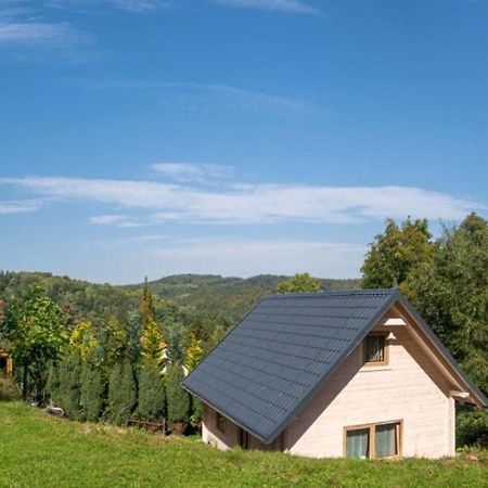 Domek Na Lesnym Wzgorzu Pieszyce Exterior photo