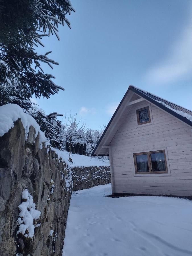 Domek Na Lesnym Wzgorzu Pieszyce Exterior photo