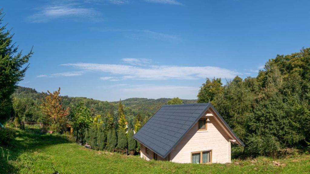 Domek Na Lesnym Wzgorzu Pieszyce Exterior photo